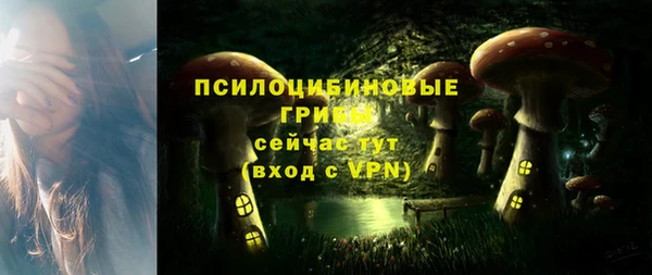 ГАЛЛЮЦИНОГЕННЫЕ ГРИБЫ Алексин