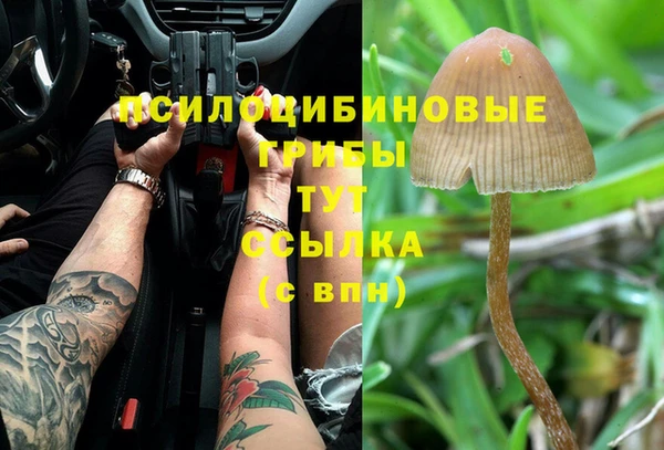 героин Алзамай