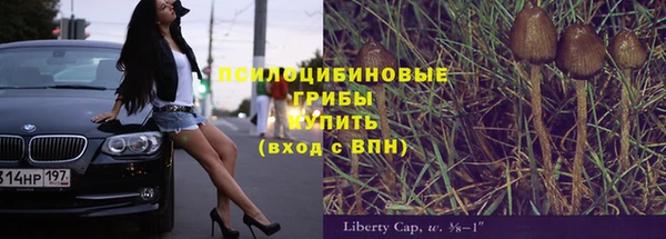 ГАЛЛЮЦИНОГЕННЫЕ ГРИБЫ Алексин