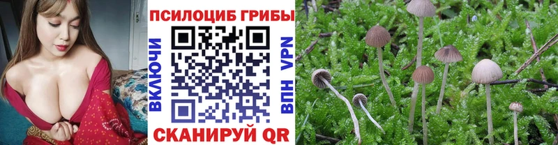закладка  Нурлат  Галлюциногенные грибы прущие грибы 
