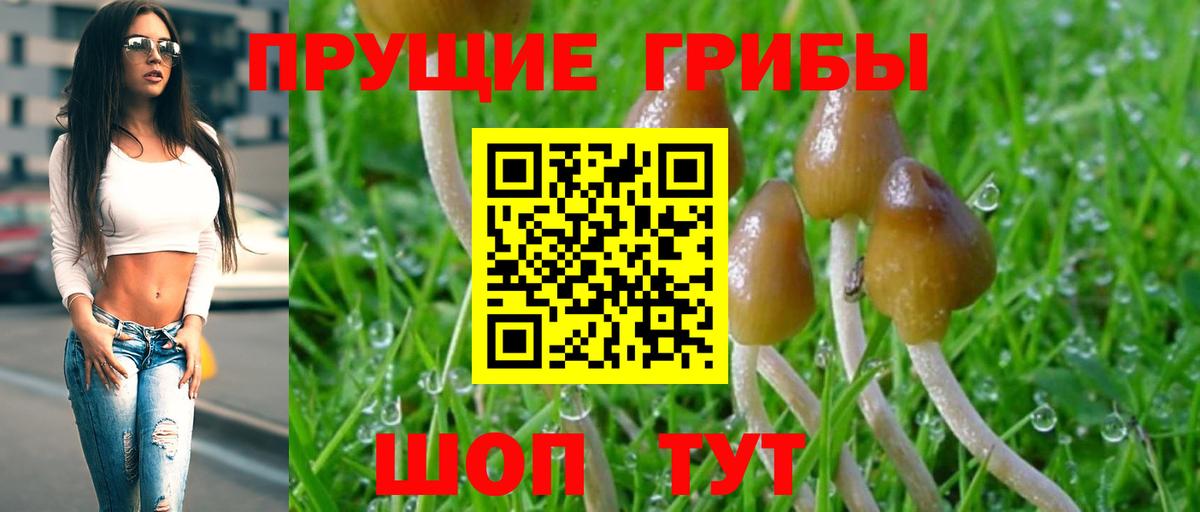 Галлюциногенные грибы Cubensis Нурлат