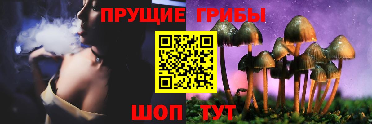 Нурлат  Галлюциногенные грибы Magic Shrooms  Вход с VPN 